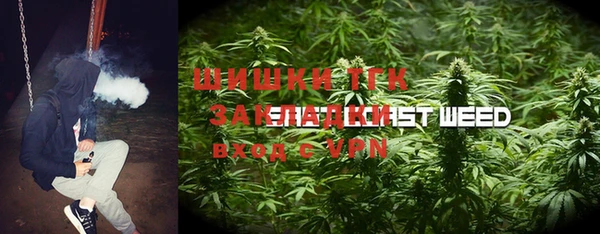 гашик Алзамай