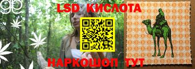 сатива Конаково