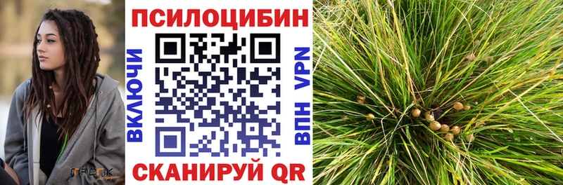 Галлюциногенные грибы прущие грибы  Краснознаменск 